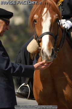 2007-04-14 Milano 367 Reggimento Artiglieria a Cavallo